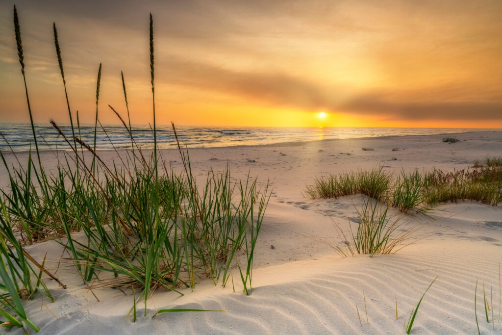 Laag standpunt van een strand met zandribbels en plukken gras, met op de achtergrond de zee en een oranje ondergaande zon.