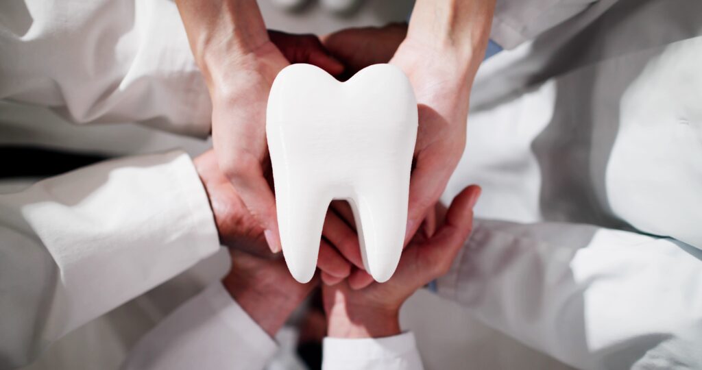 Bovenaanzicht van meerdere handen in witte jassen die samen een groot wit model van een kies vasthouden.